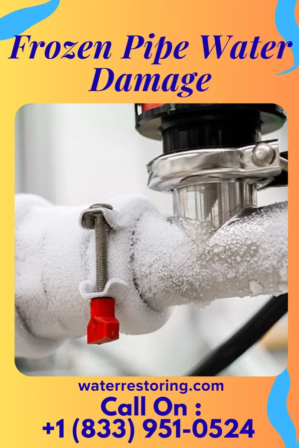 Frozen Pipe Water Damage in Schall Circle, FL